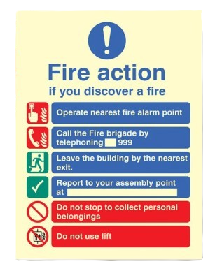 250mm X 300mm Photoluminescent Public Fire Action Sign 2
