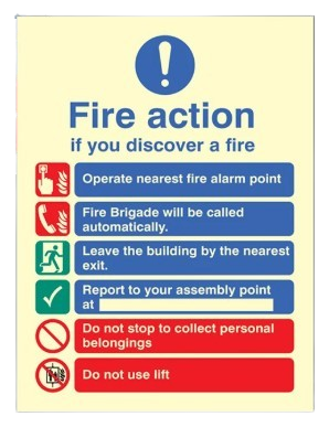 200mm X 150mm Photoluminescent Public Fire Action Sign 4